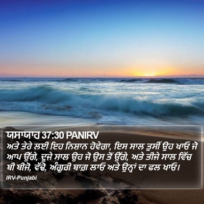 ਯਸਾਯਾਹ 37:30 PANIRV Bible Verse Image