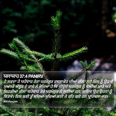 ਯਸਾਯਾਹ 37:4 PANIRV Bible Verse Image