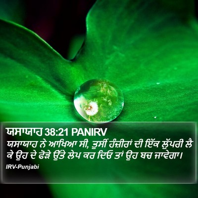 ਯਸਾਯਾਹ 38:21 PANIRV Bible Verse Image