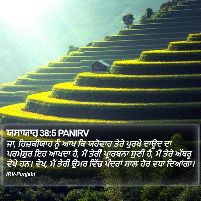 ਯਸਾਯਾਹ 38:5 PANIRV Bible Verse Image