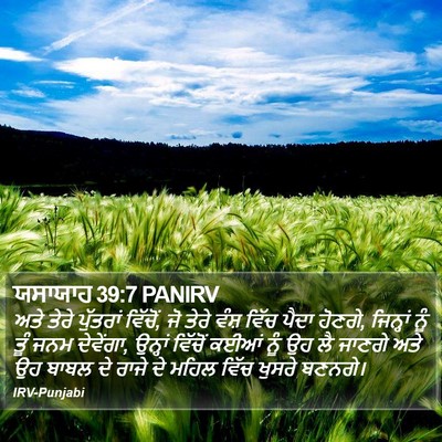 ਯਸਾਯਾਹ 39:7 PANIRV Bible Verse Image