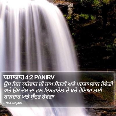 ਯਸਾਯਾਹ 4:2 PANIRV Bible Verse Image