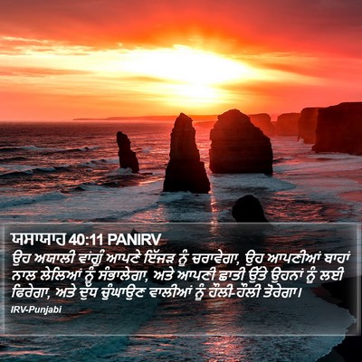 ਯਸਾਯਾਹ 40:11 PANIRV Bible Verse Image