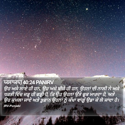 ਯਸਾਯਾਹ 40:24 PANIRV Bible Verse Image
