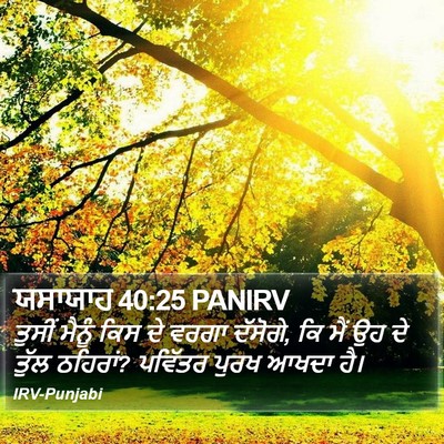 ਯਸਾਯਾਹ 40:25 PANIRV Bible Verse Image