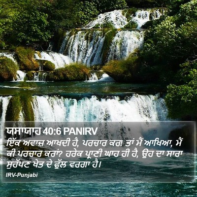 ਯਸਾਯਾਹ 40:6 PANIRV Bible Verse Image