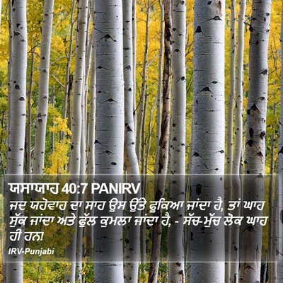 ਯਸਾਯਾਹ 40:7 PANIRV Bible Verse Image