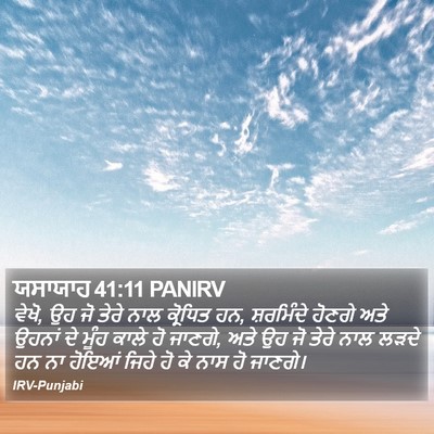 ਯਸਾਯਾਹ 41:11 PANIRV Bible Verse Image