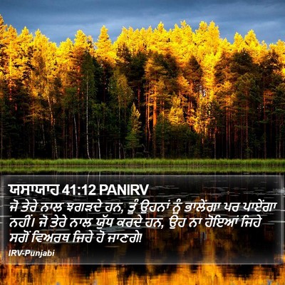 ਯਸਾਯਾਹ 41:12 PANIRV Bible Verse Image