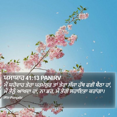 ਯਸਾਯਾਹ 41:13 PANIRV Bible Verse Image