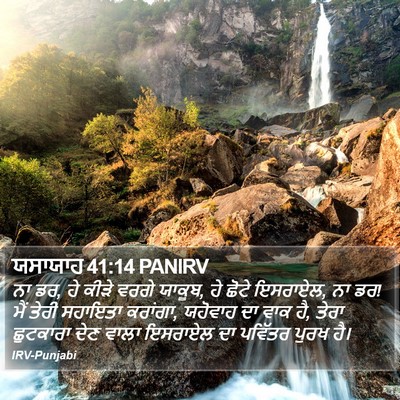 ਯਸਾਯਾਹ 41:14 PANIRV Bible Verse Image