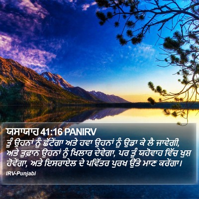 ਯਸਾਯਾਹ 41:16 PANIRV Bible Verse Image