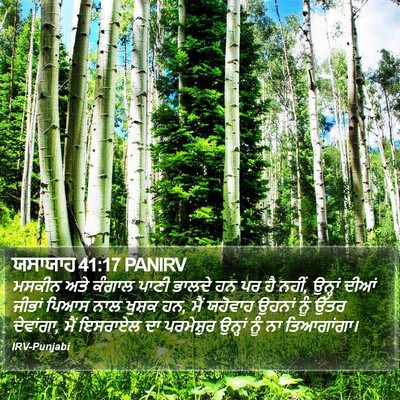 ਯਸਾਯਾਹ 41:17 PANIRV Bible Verse Image