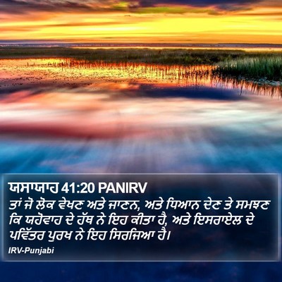 ਯਸਾਯਾਹ 41:20 PANIRV Bible Verse Image