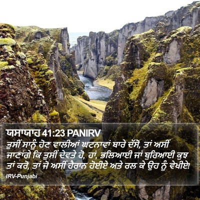 ਯਸਾਯਾਹ 41:23 PANIRV Bible Verse Image