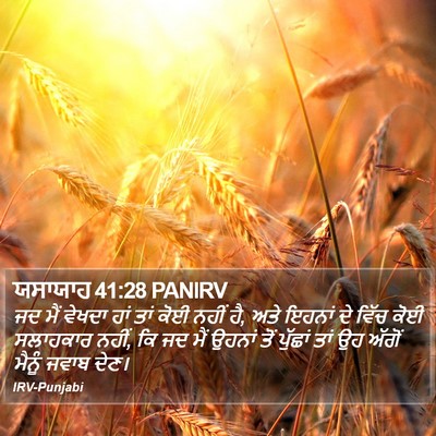 ਯਸਾਯਾਹ 41:28 PANIRV Bible Verse Image