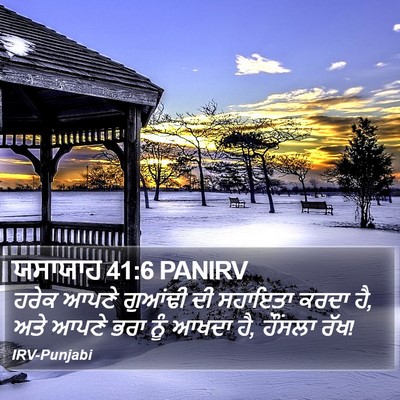 ਯਸਾਯਾਹ 41:6 PANIRV Bible Verse Image