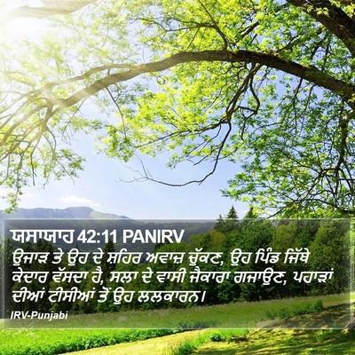 ਯਸਾਯਾਹ 42:11 PANIRV Bible Verse Image