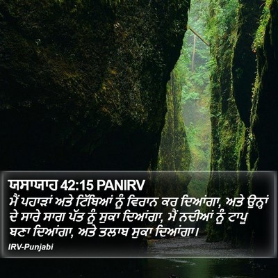ਯਸਾਯਾਹ 42:15 PANIRV Bible Verse Image