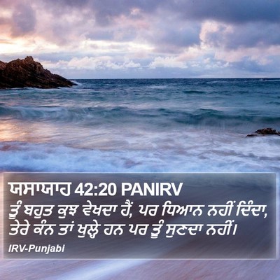 ਯਸਾਯਾਹ 42:20 PANIRV Bible Verse Image