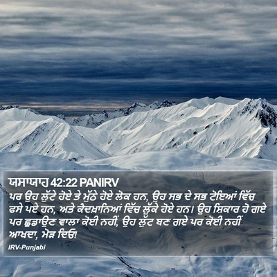 ਯਸਾਯਾਹ 42:22 PANIRV Bible Verse Image