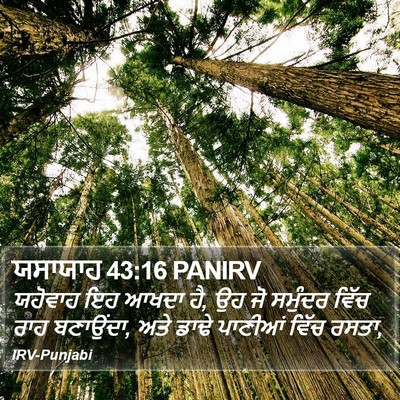ਯਸਾਯਾਹ 43:16 PANIRV Bible Verse Image