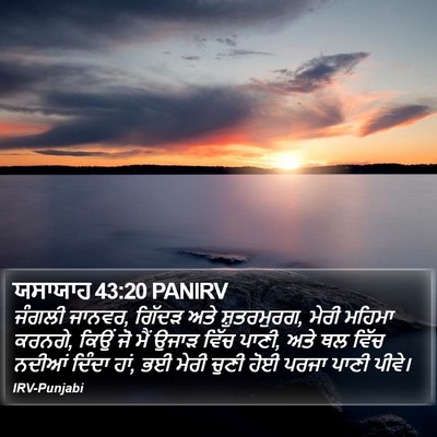ਯਸਾਯਾਹ 43:20 PANIRV Bible Verse Image