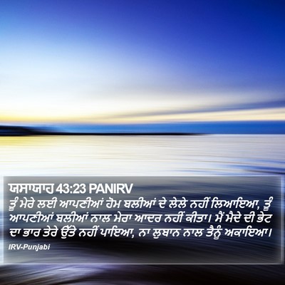 ਯਸਾਯਾਹ 43:23 PANIRV Bible Verse Image