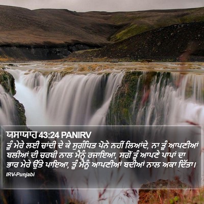 ਯਸਾਯਾਹ 43:24 PANIRV Bible Verse Image