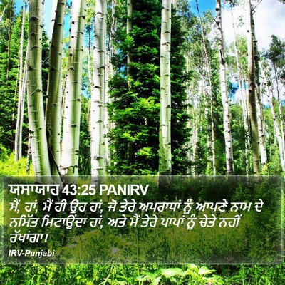 ਯਸਾਯਾਹ 43:25 PANIRV Bible Verse Image