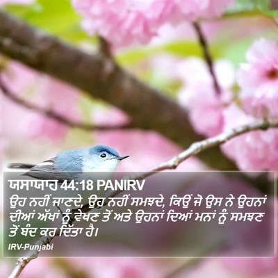 ਯਸਾਯਾਹ 44:18 PANIRV Bible Verse Image