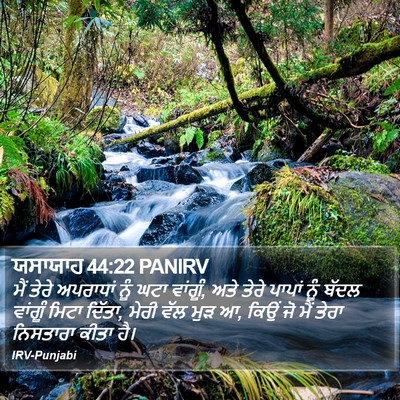 ਯਸਾਯਾਹ 44:22 PANIRV Bible Verse Image