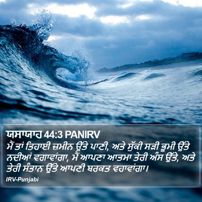 ਯਸਾਯਾਹ 44:3 PANIRV Bible Verse Image