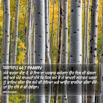 ਯਸਾਯਾਹ 44:7 PANIRV Bible Verse Image