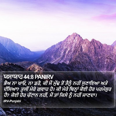 ਯਸਾਯਾਹ 44:8 PANIRV Bible Verse Image