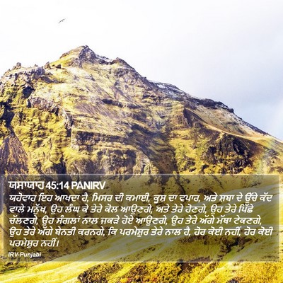ਯਸਾਯਾਹ 45:14 PANIRV Bible Verse Image