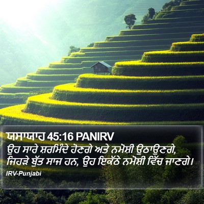 ਯਸਾਯਾਹ 45:16 PANIRV Bible Verse Image