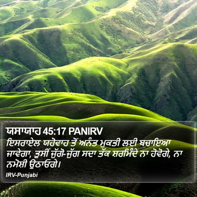 ਯਸਾਯਾਹ 45:17 PANIRV Bible Verse Image