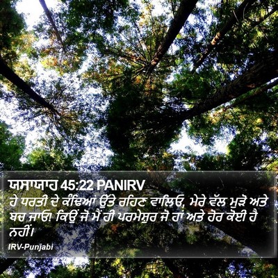 ਯਸਾਯਾਹ 45:22 PANIRV Bible Verse Image
