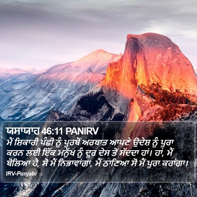 ਯਸਾਯਾਹ 46:11 PANIRV Bible Verse Image