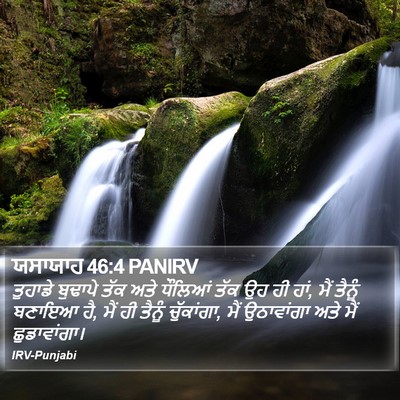 ਯਸਾਯਾਹ 46:4 PANIRV Bible Verse Image
