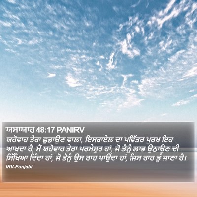ਯਸਾਯਾਹ 48:17 PANIRV Bible Verse Image