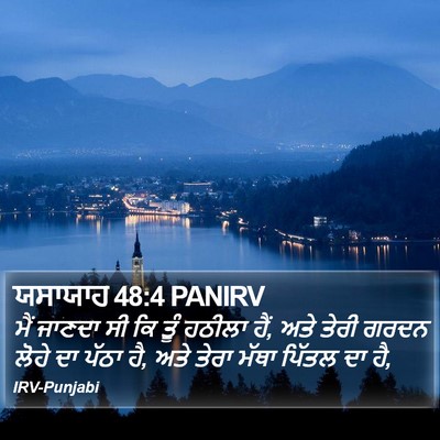 ਯਸਾਯਾਹ 48:4 PANIRV Bible Verse Image