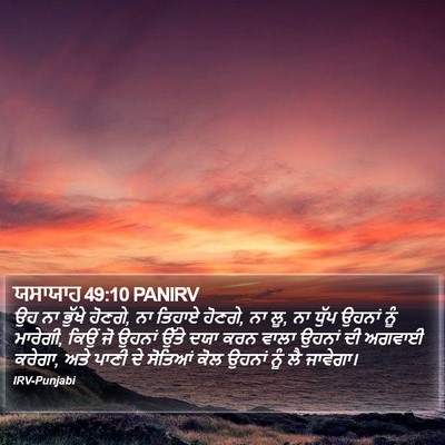 ਯਸਾਯਾਹ 49:10 PANIRV Bible Verse Image