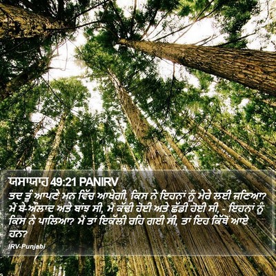 ਯਸਾਯਾਹ 49:21 PANIRV Bible Verse Image