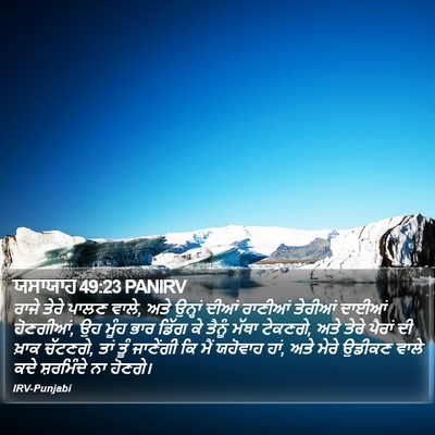ਯਸਾਯਾਹ 49:23 PANIRV Bible Verse Image