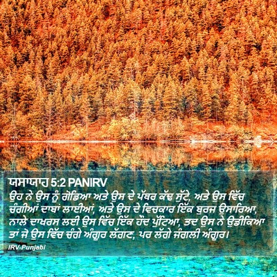 ਯਸਾਯਾਹ 5:2 PANIRV Bible Verse Image