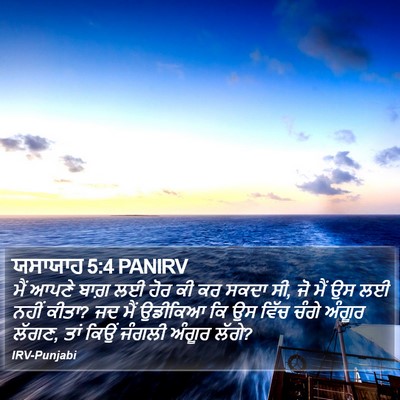 ਯਸਾਯਾਹ 5:4 PANIRV Bible Verse Image
