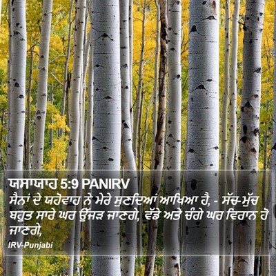 ਯਸਾਯਾਹ 5:9 PANIRV Bible Verse Image