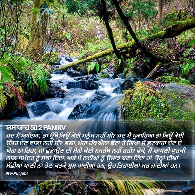ਯਸਾਯਾਹ 50:2 PANIRV Bible Verse Image
